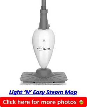 Light N Easy Steam Mop