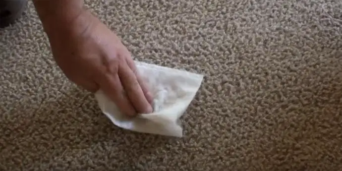 Rubbing-Out-A-Carpet-Stain