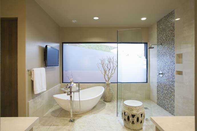 Spacious Bathroom Design And Layout