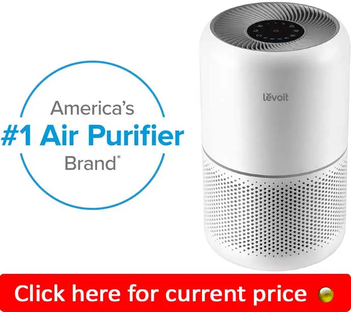 Levoit Core 300 - Best Air Purifier For COPD Patients